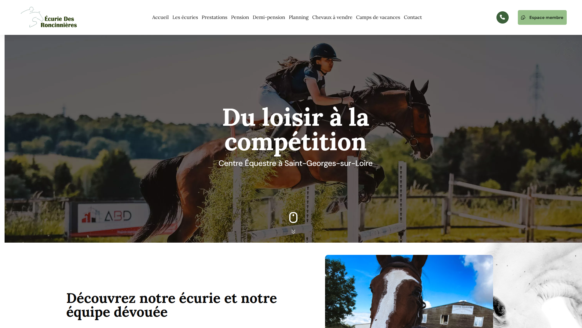 Youlead Ecurie Des Roncinnieres Youlead Ecurie Des Roncinnieres