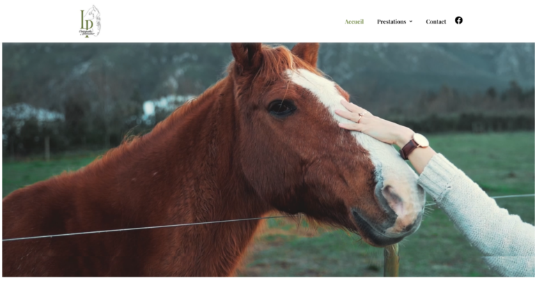 Youlead Agence De Communication Digitale Lena Pecqueux